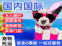 塔城千泉航空邮寄国际宠物托运 【国